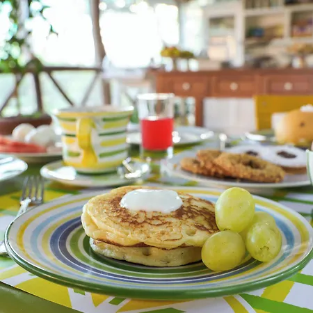科雷亚莱花园住宿加早餐旅馆 4*