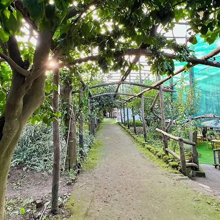 住宿加早餐酒店 科雷亚莱花园住宿加早餐旅馆 索伦托