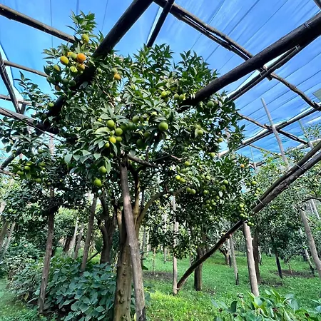 Relais Correale & Garden