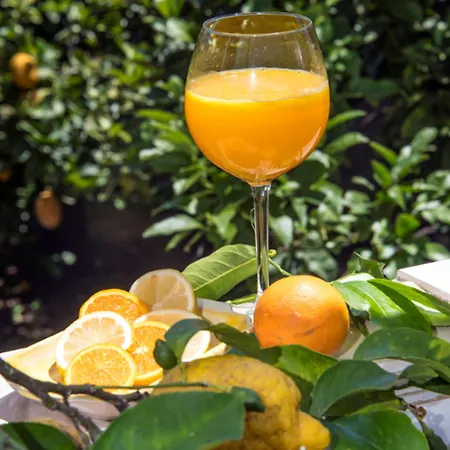 فندق مبيت وإفطار Relais Correale & Garden