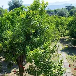 Relais Correale & Garden