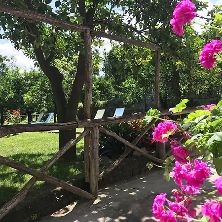 科雷亚莱花园住宿加早餐旅馆 住宿加早餐酒店 3*