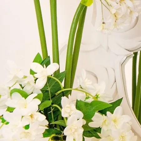 Bed & Breakfast Relais Correale & Garden-adult Only 4*