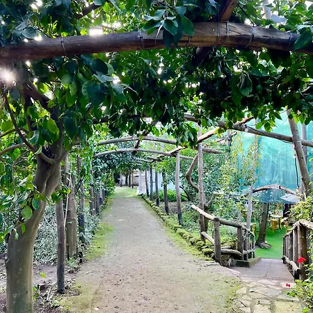 Relais Correale & Garden 4*