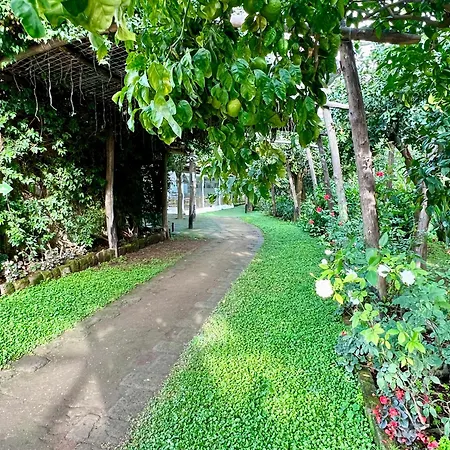 科雷亚莱花园住宿加早餐旅馆 索伦托