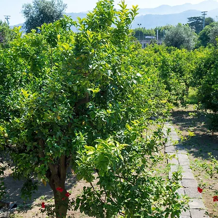 Relais Correale & Garden-adult Only