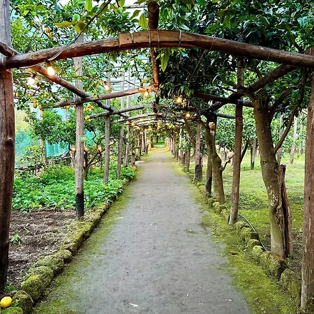 Relais Correale & Garden B&B 소렌토