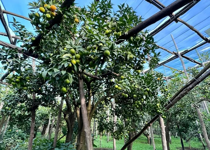 Relais Correale & Garden