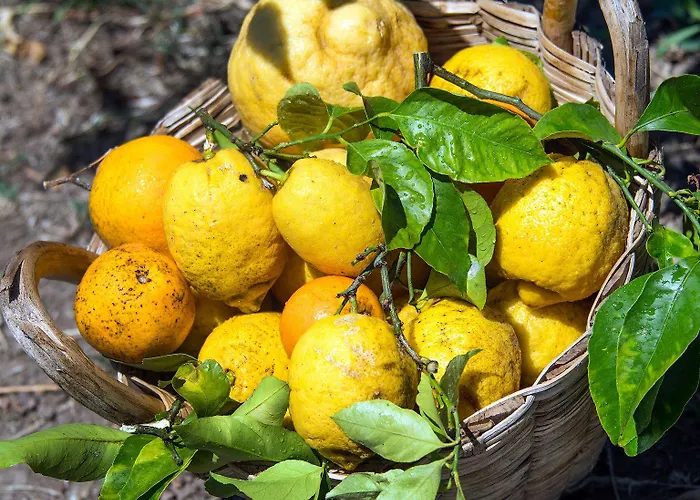 Panzió Relais Correale & Garden