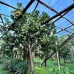 Relais Correale & Garden