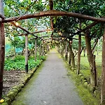 Relais Correale & Garden Bed & Breakfast Sorrento