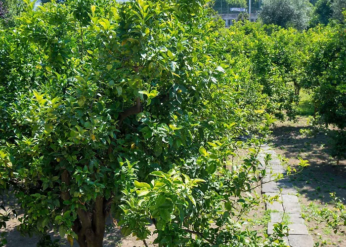 Relais Correale & Garden