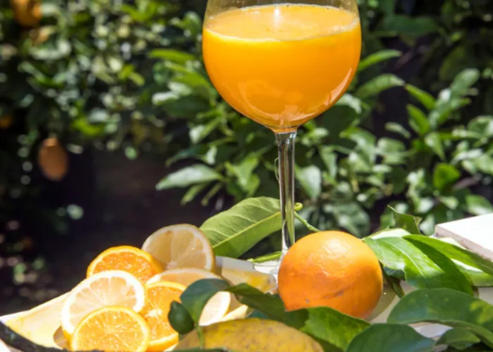 Bed & Breakfast Relais Correale & Garden